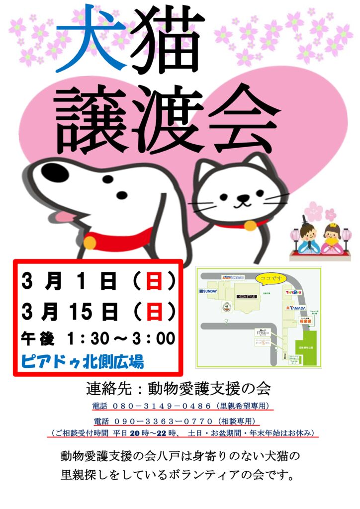 犬猫譲渡会のサムネイル