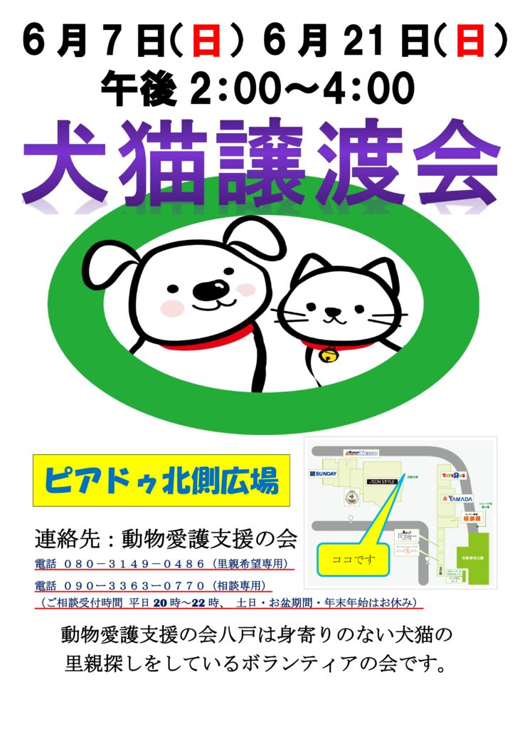 犬猫譲渡会のサムネイル